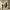 Person looking into a mirror showing a slightly distorted reflection
