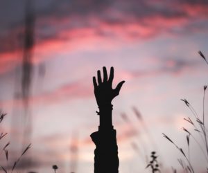 Silhouetted hand raised among grasses against a pink and purple sky
