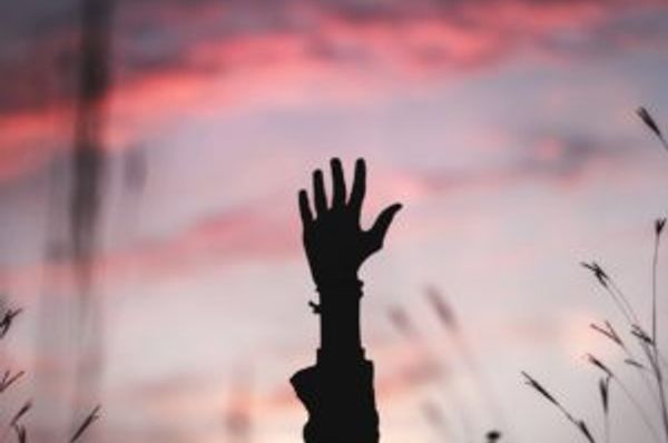 Silhouetted hand raised among grasses against a pink and purple sky