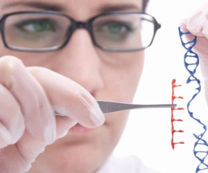 Gloved person uses tweezers beside a small DNA double-helix model