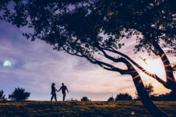 Two silhouetted people hold hands beneath a large tree at sunset