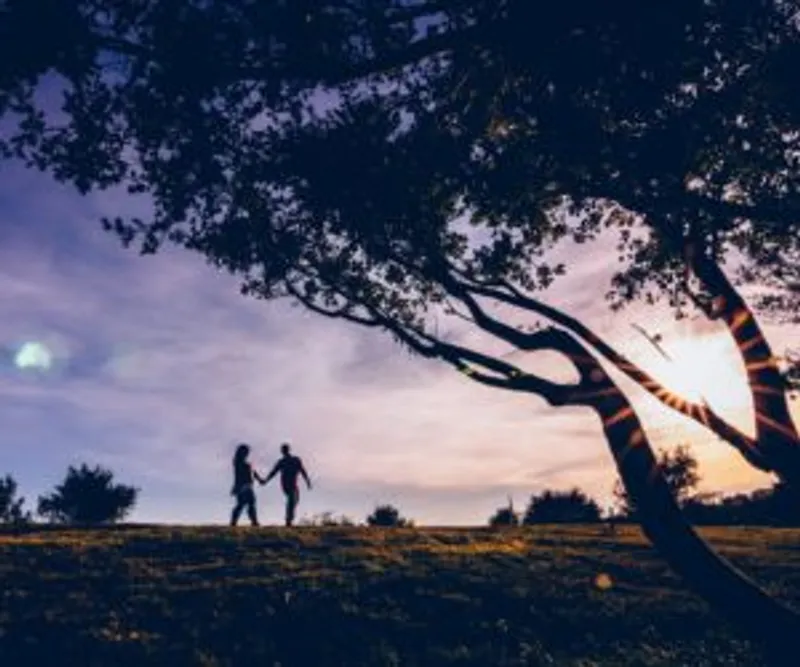 Two silhouetted people hold hands beneath a large tree at sunset
