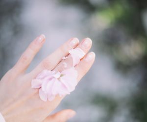 Open hand holding pale pink blossoms against a blurred outdoor background