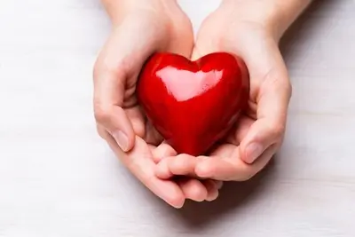 Two pairs of hands cradle a glossy heart-shaped object on a white surface